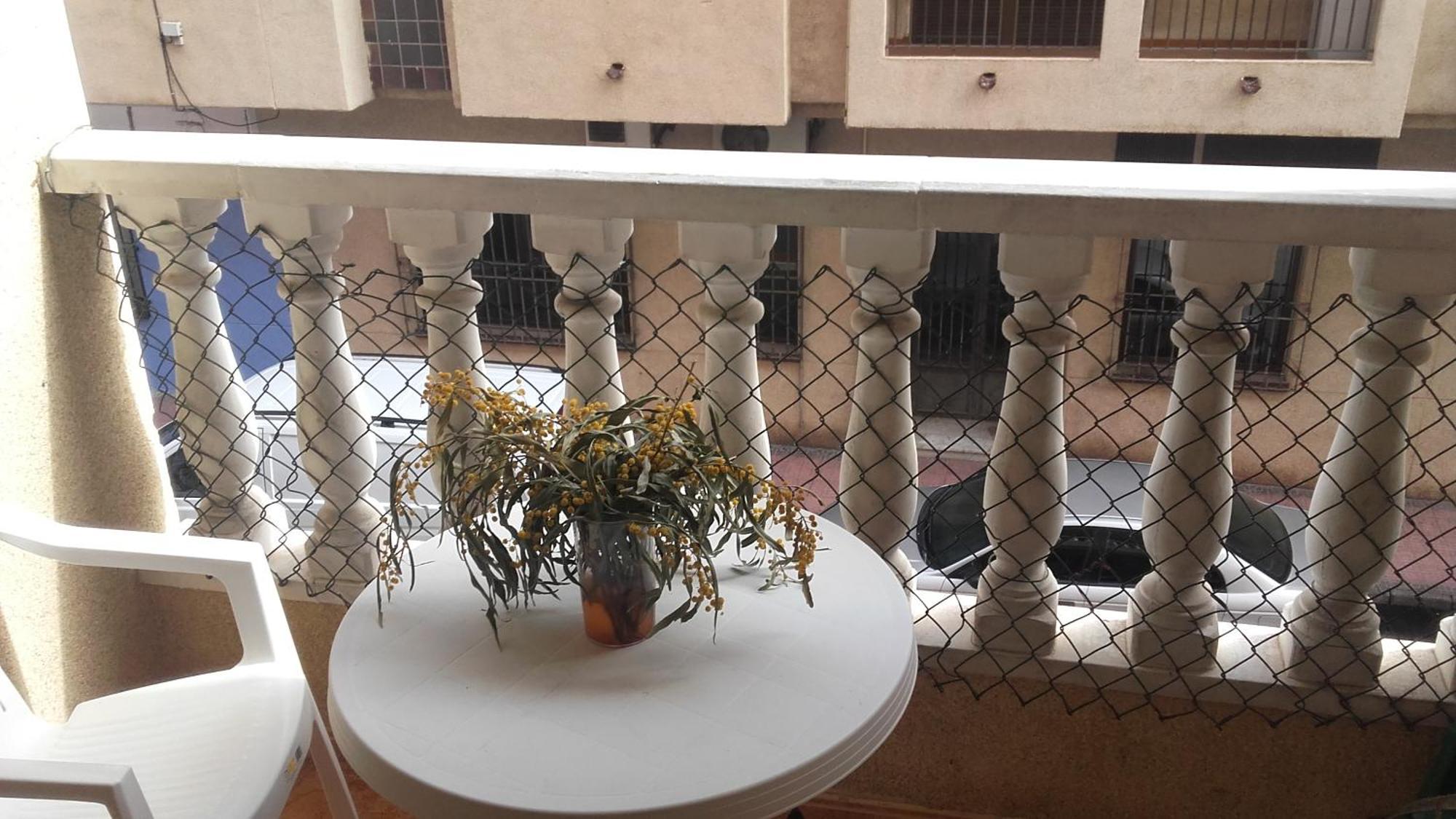 Bonito Apartamento En Torrevieja Exteriör bild